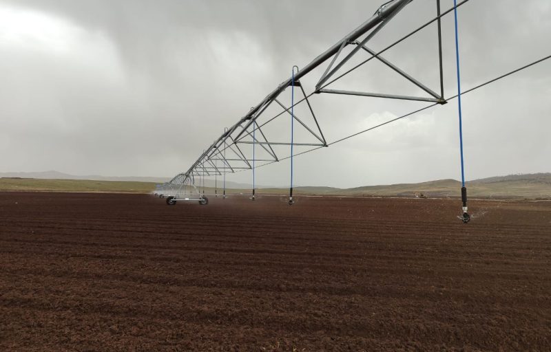 pivot 4